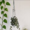 Suspension pour plantes en macramé, de couleur bleu, beige et vert