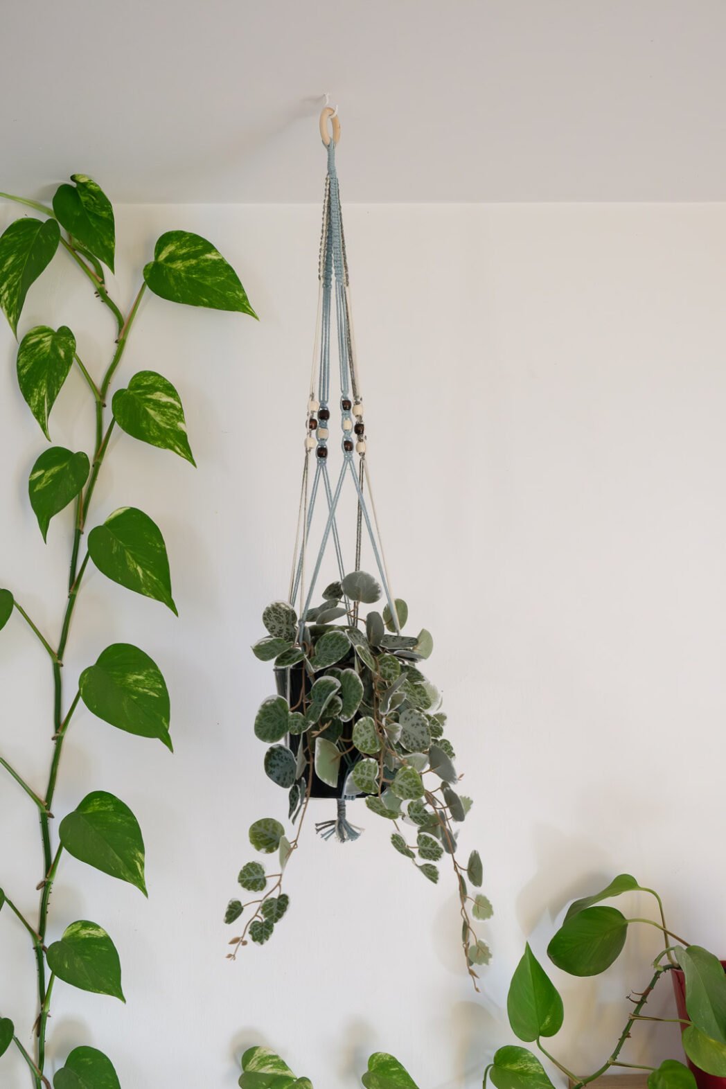 Suspension pour plantes en macramé, de couleur bleu, beige et vert