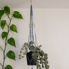 Suspension pour plantes en macramé, de couleur bleu et beige