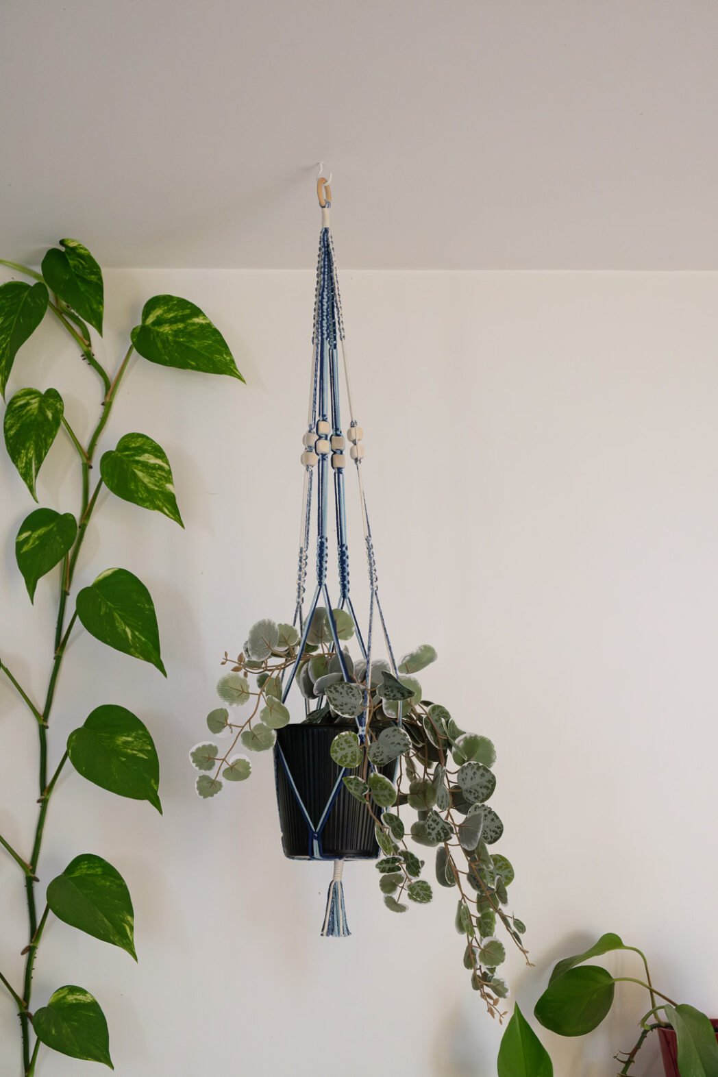 Suspension pour plantes en macramé, de couleur bleu et beige