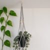 Suspension pour plantes en macramé, de couleur grise, avec perles ovales