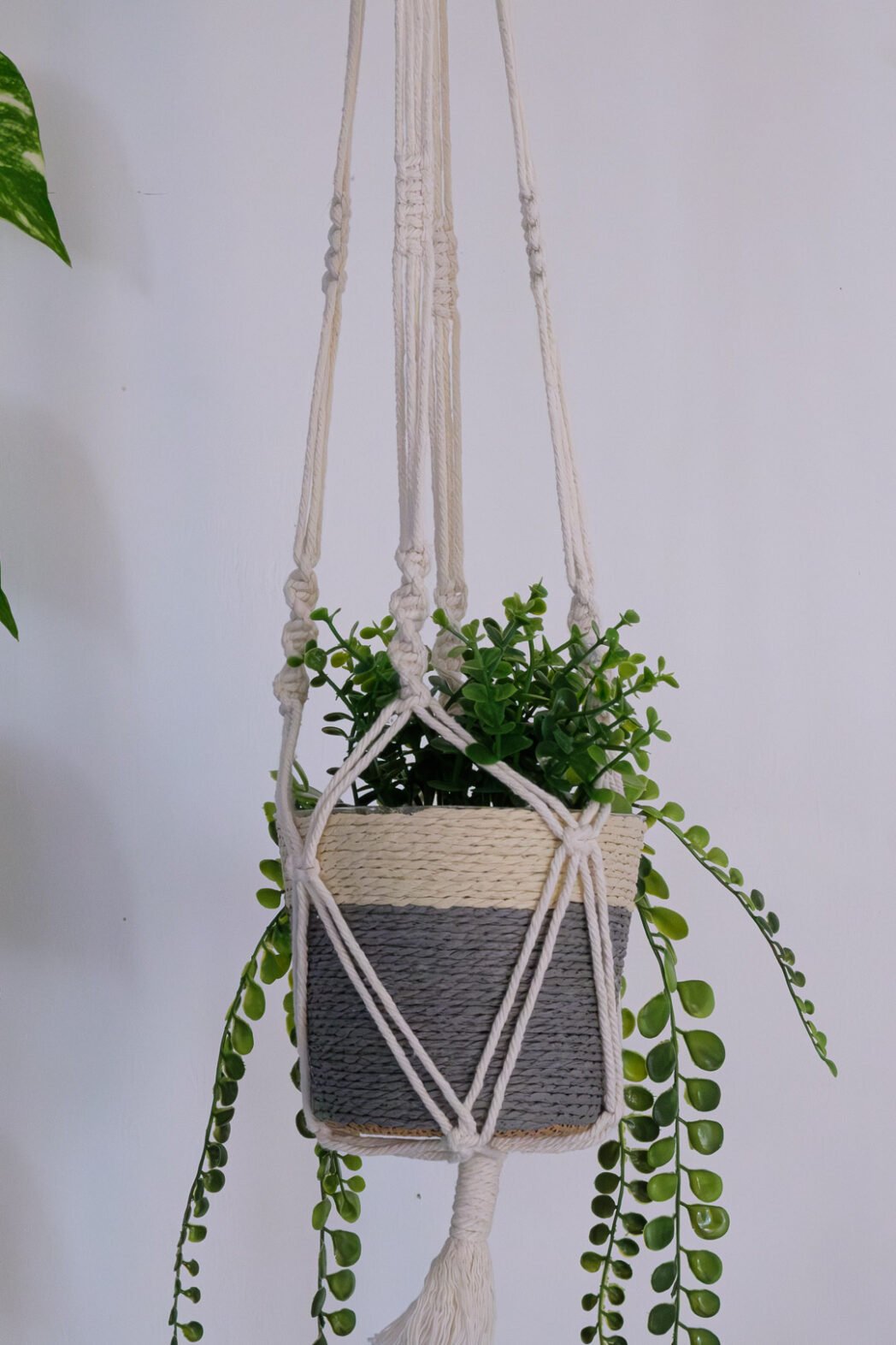 Suspension pour plantes en macramé, de couleur blanche, avec nœuds en spirale