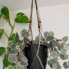 Suspension pour plantes en macramé, de couleur marron et beige