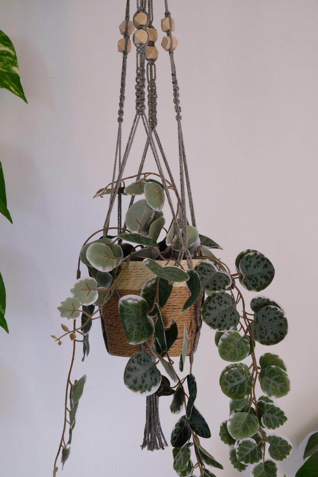 Suspension pour plantes en macramé, fil de couleur vert foncé et marron