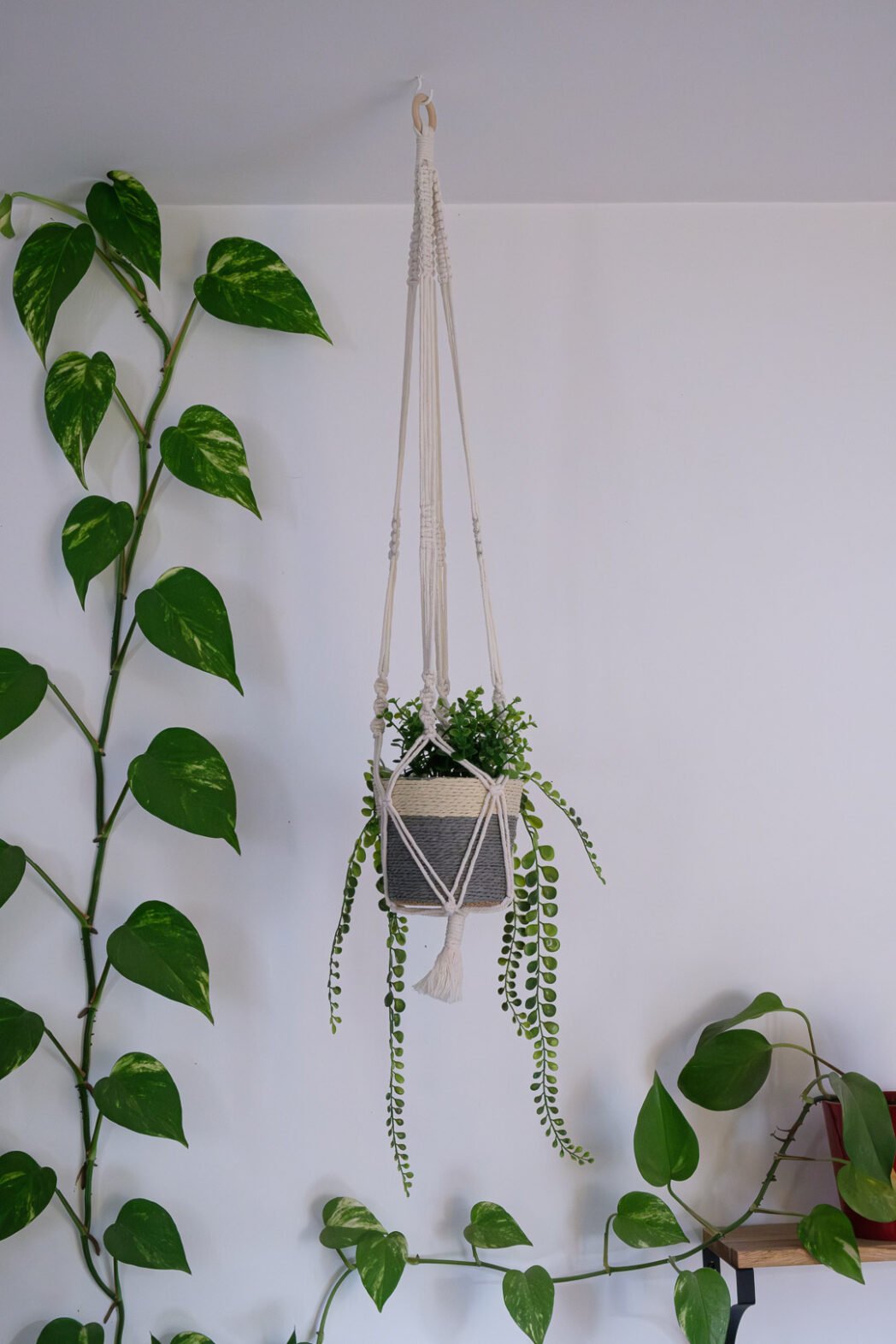 Suspension pour plantes en macramé, de couleur blanche, avec nœuds en spirale