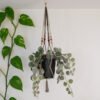 Suspension pour plantes en macramé, de couleur marron et beige