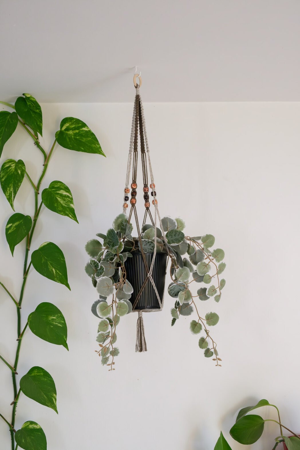 Suspension pour plantes en macramé, de couleur marron et beige