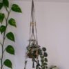 Suspension pour plantes en macramé, fil de couleur vert foncé et marron
