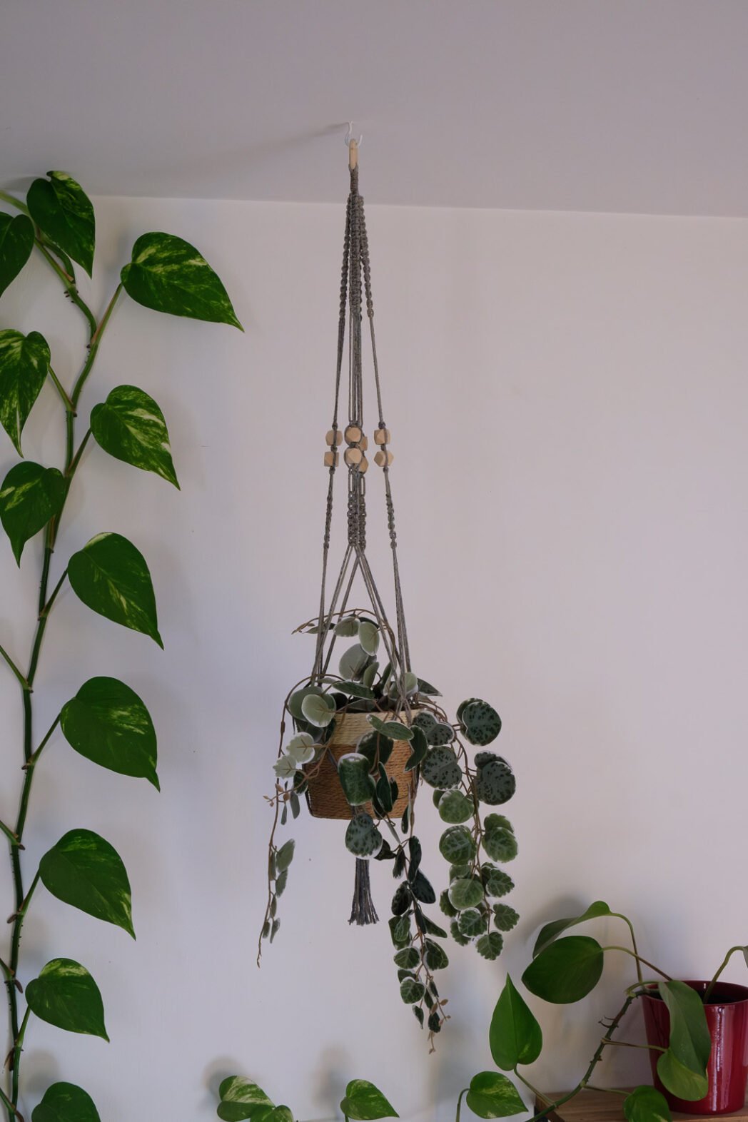 Suspension pour plantes en macramé, fil de couleur vert foncé et marron